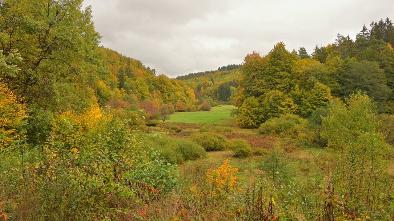 秋天的森林山谷，Rothenbuch, Hafenlohrtal, Spessart，巴伐利亚，德国视频素材