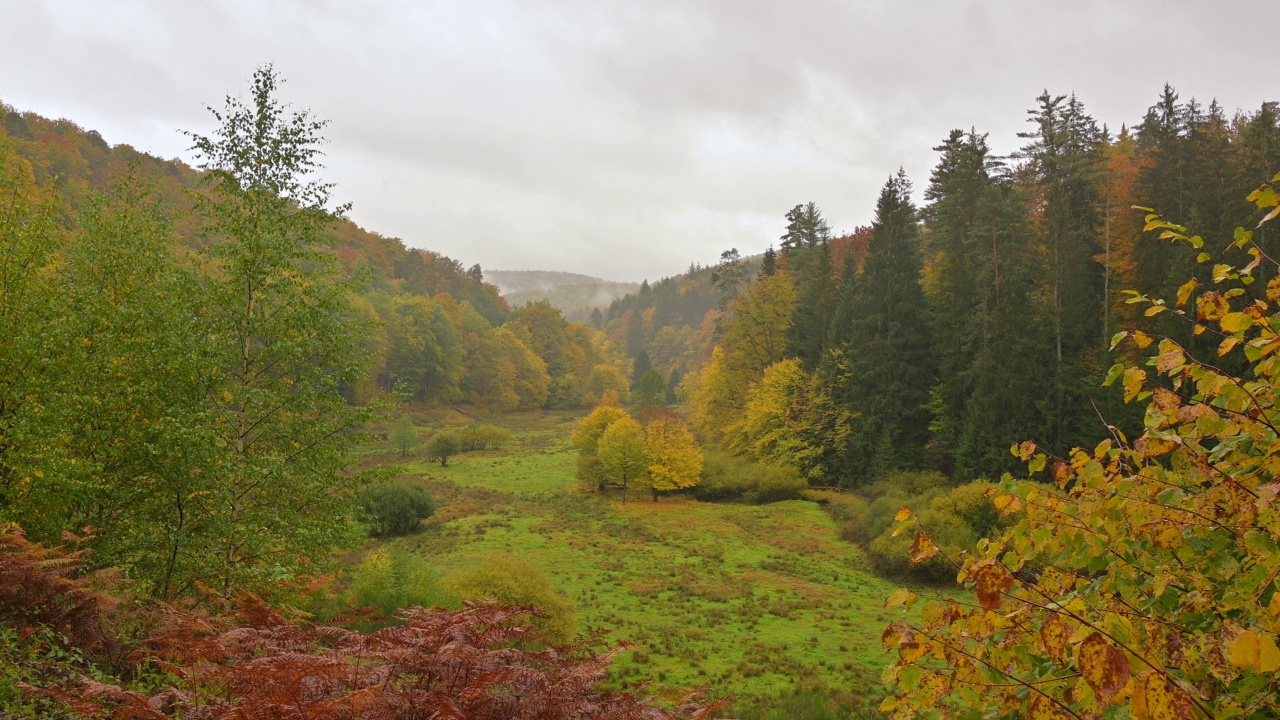 秋天的森林山谷，Rothenbuch, Hafenlohrtal, Spessart，巴伐利亚，德国视频素材