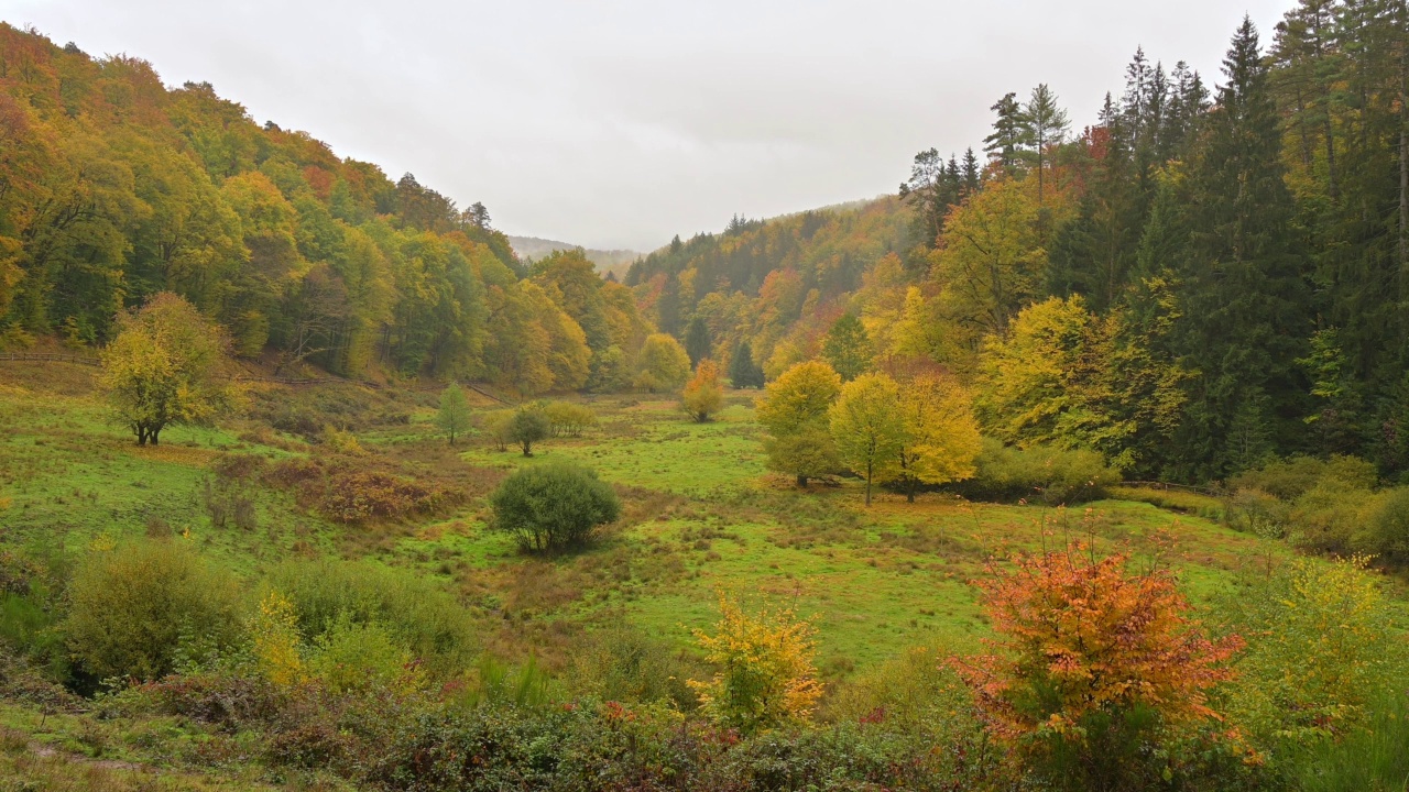 秋天的森林山谷，Rothenbuch, Hafenlohrtal, Spessart，巴伐利亚，德国视频素材