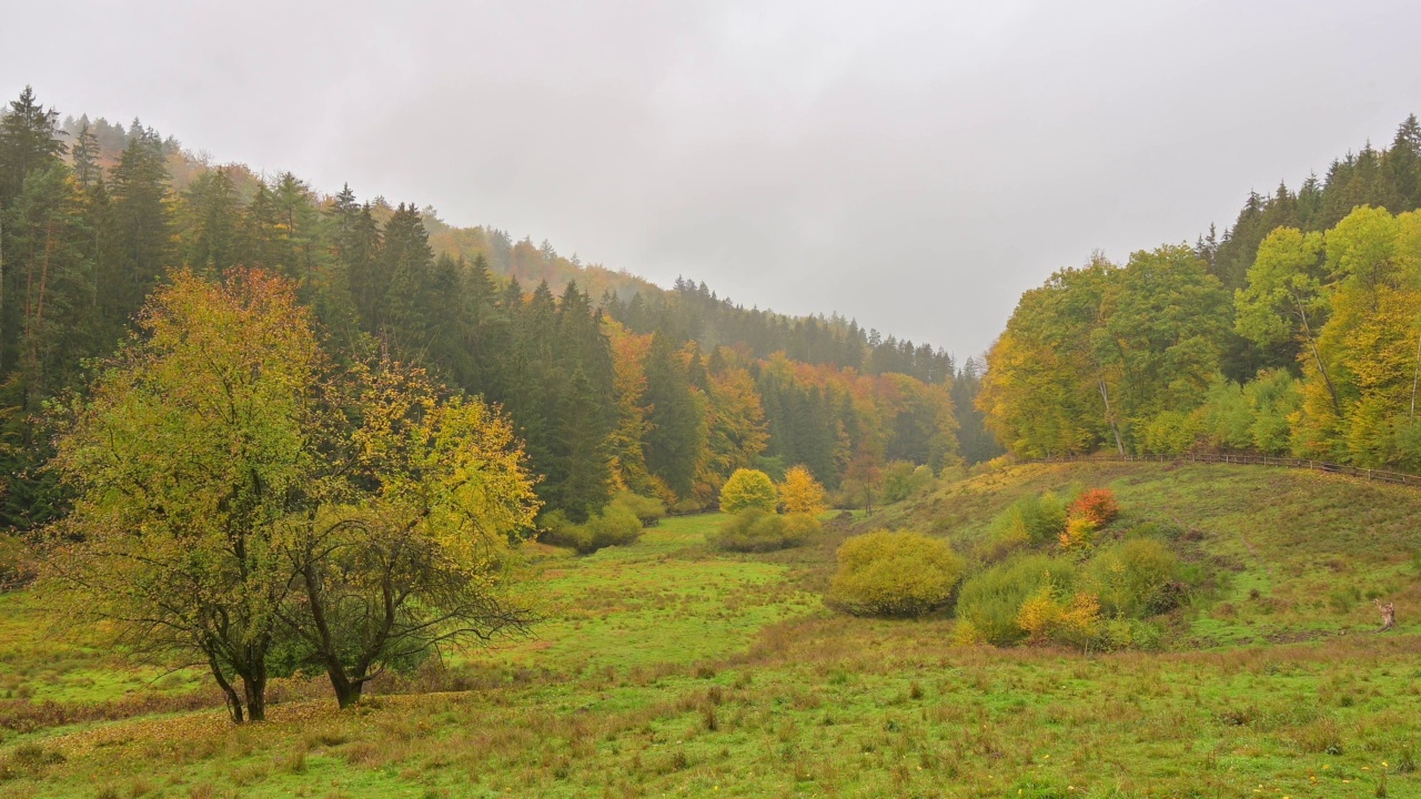 秋天的森林山谷，Rothenbuch, Hafenlohrtal, Spessart，巴伐利亚，德国视频素材