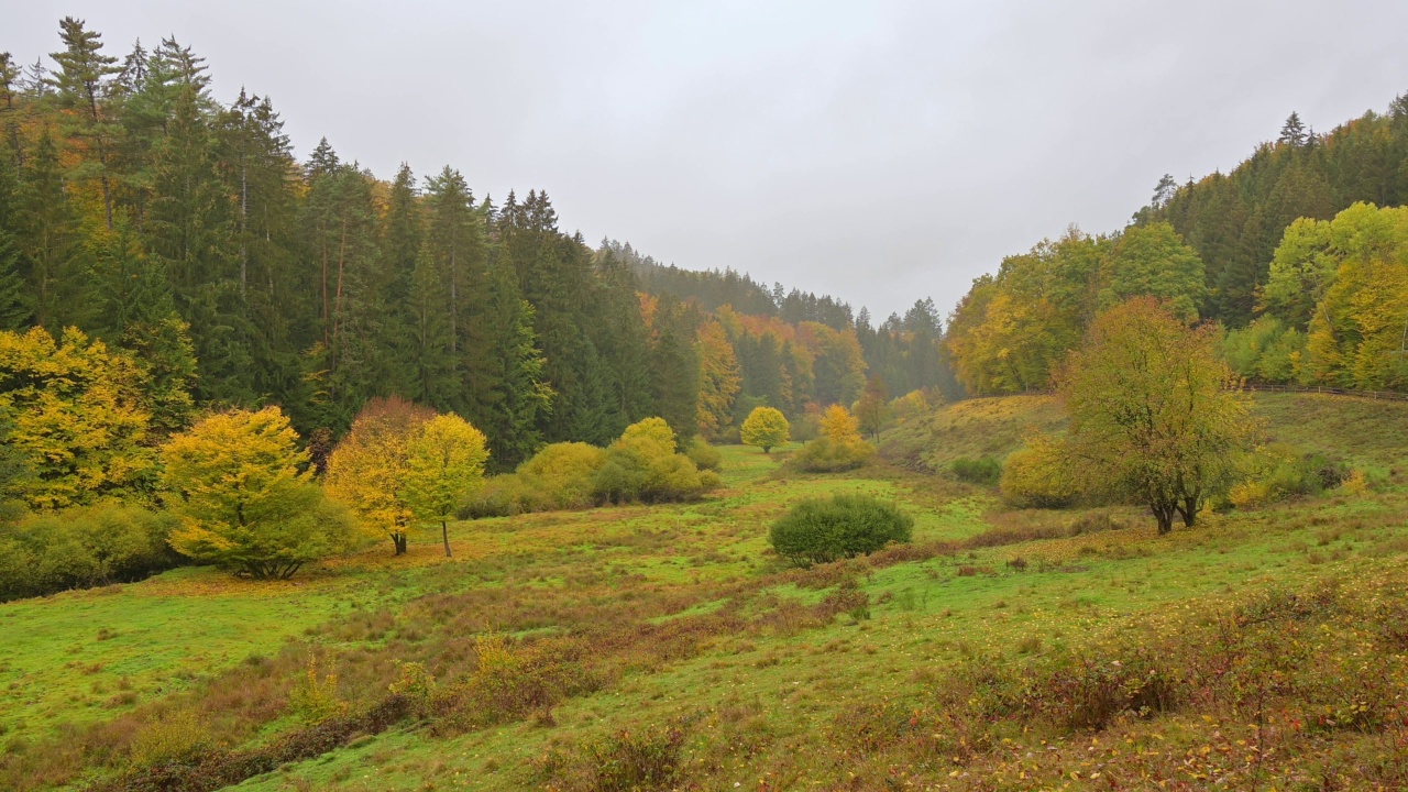 秋天的森林山谷，Rothenbuch, Hafenlohrtal, Spessart，巴伐利亚，德国视频素材