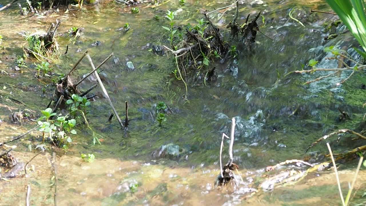 夏天喷泉里的流水。气候变化的概念。高质量全高清镜头视频素材