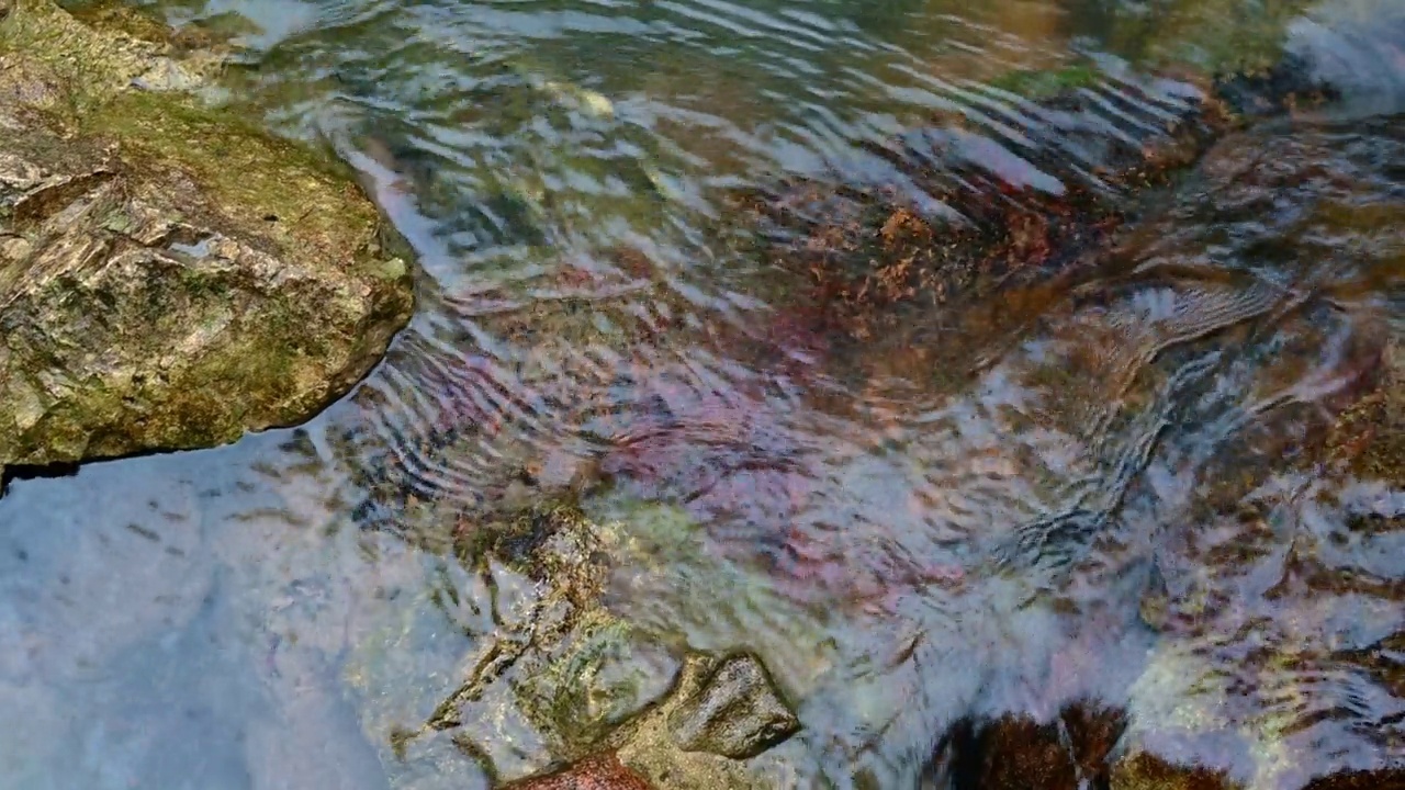 特写水在热带雨林瀑布的岩石上流动视频下载