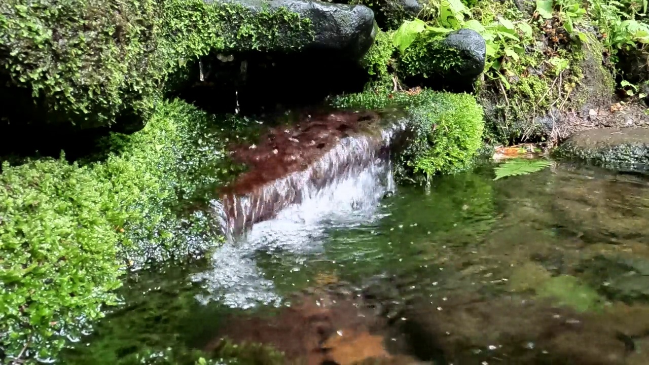 新鲜的山泉水从源头流出视频素材