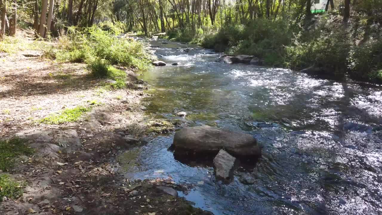 在阳光灿烂的绿树成荫的森林中间，岩石泛滥的小溪的景色视频素材