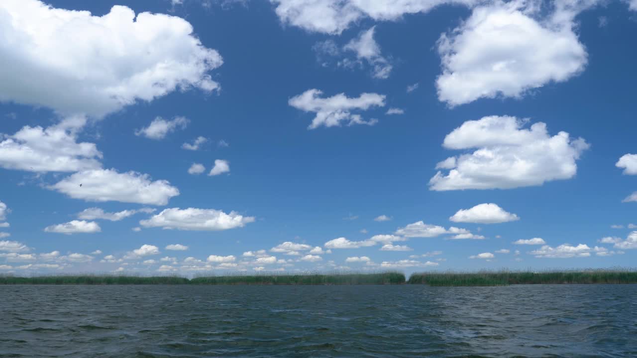 大群鹈鹕鸟在上空飞翔。鹈鹕飞过多瑙河三角洲的水面。大群鹈鹕鸟在自然环境中飞越蓝色的湖泊。大白鹈鹕。视频素材