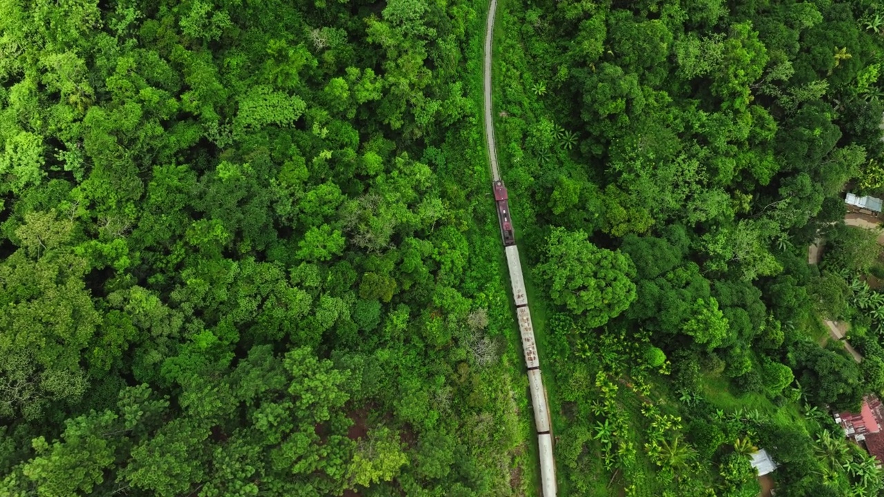 航拍的旅客列车在铁路上移动，通过森林地区在斯里兰卡视频素材