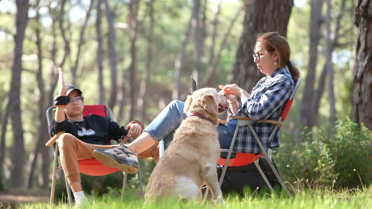 幸福的家庭花时间和他们的狗金毛猎犬在森林里露营视频素材