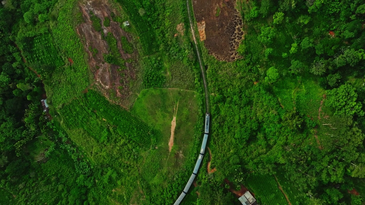 航拍的旅客列车在铁路上移动，通过森林地区在斯里兰卡视频素材