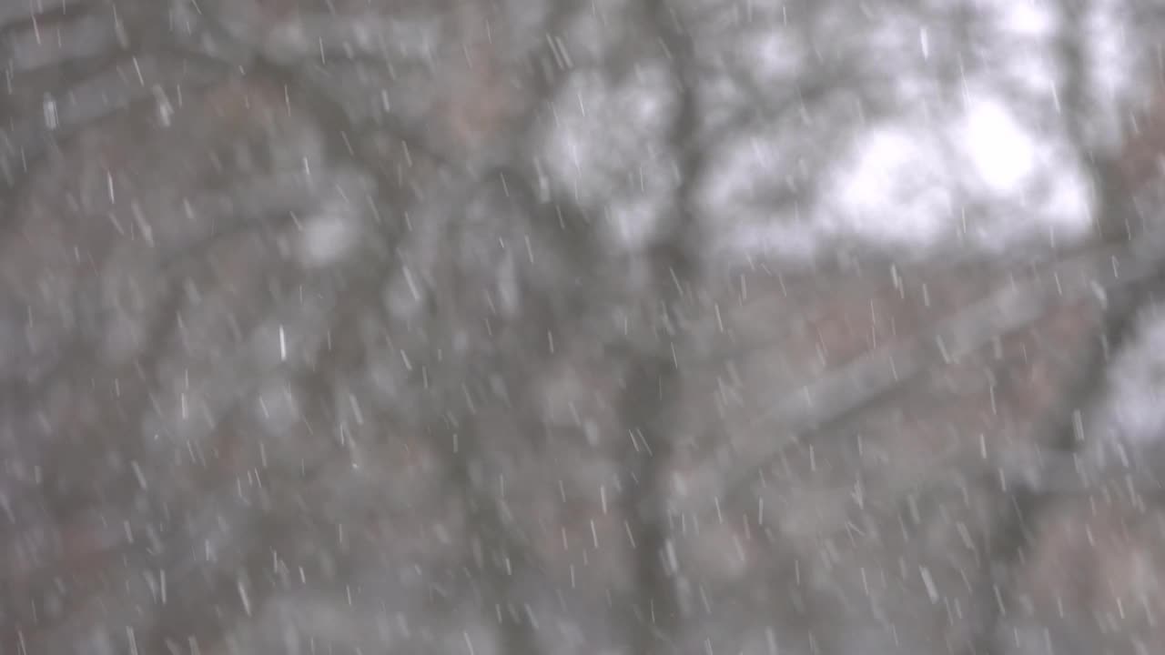 雪花落在树木模糊的背景上。视频素材