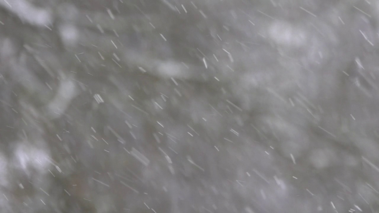 大雪映衬着树木的剪影。视频素材