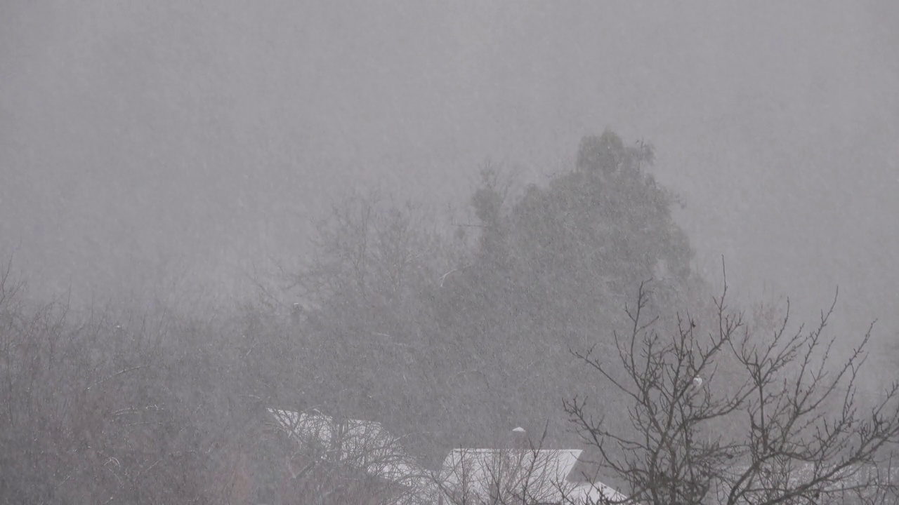 积雪在村庄的屋顶和森林的背景。视频素材