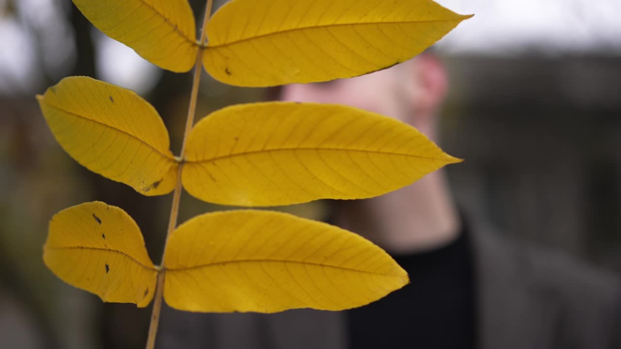 特写的树枝与黄色的叶子和模糊的年轻人在背景。面目全非的千禧年白人男子，用慢动作微笑着放下树叶。视频素材