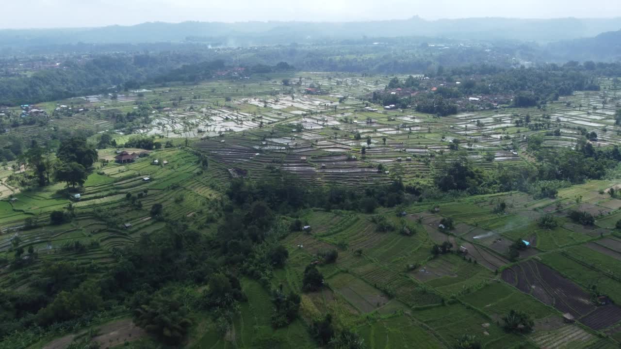 印尼巴厘岛的耕地鸟瞰图，4K视频素材