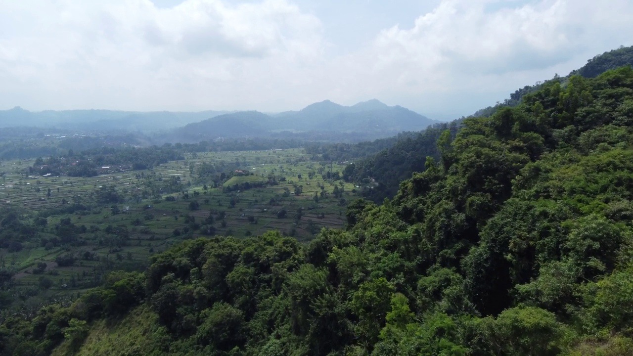 印尼巴厘岛的耕地鸟瞰图，4K视频素材