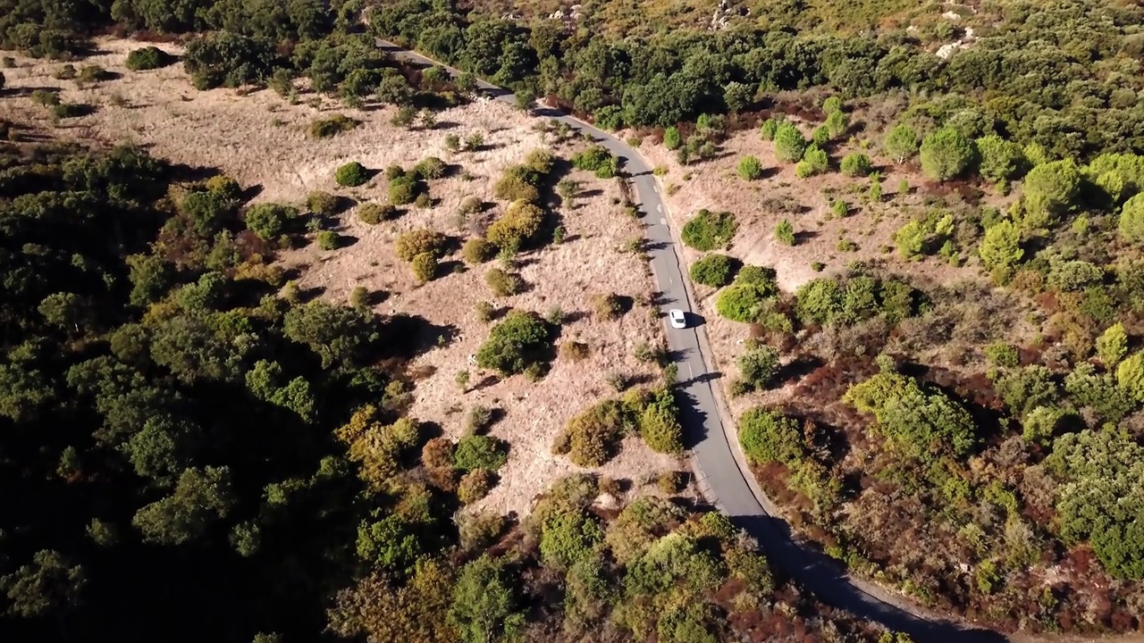 无人机拍摄到一条通往森林的道路视频素材