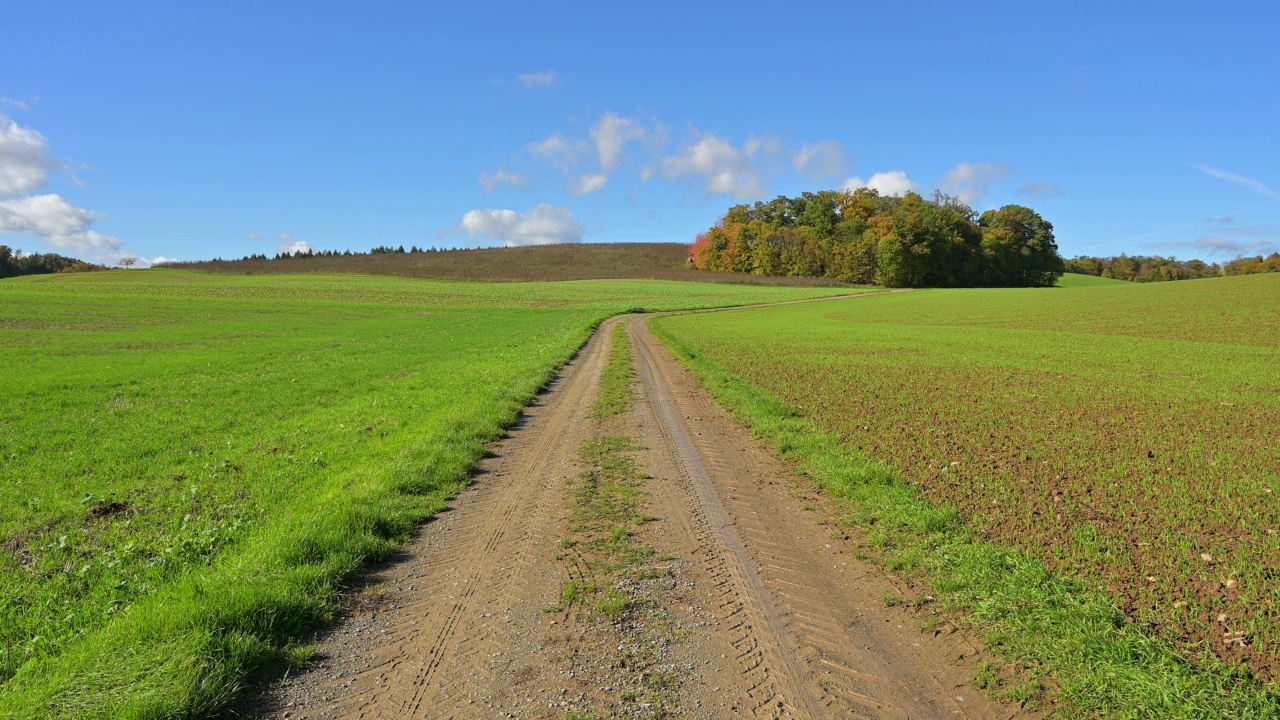 风景中的道路与田野和云天空，Duttenbrunn，泽林根，弗朗科尼亚，巴伐利亚，德国视频素材