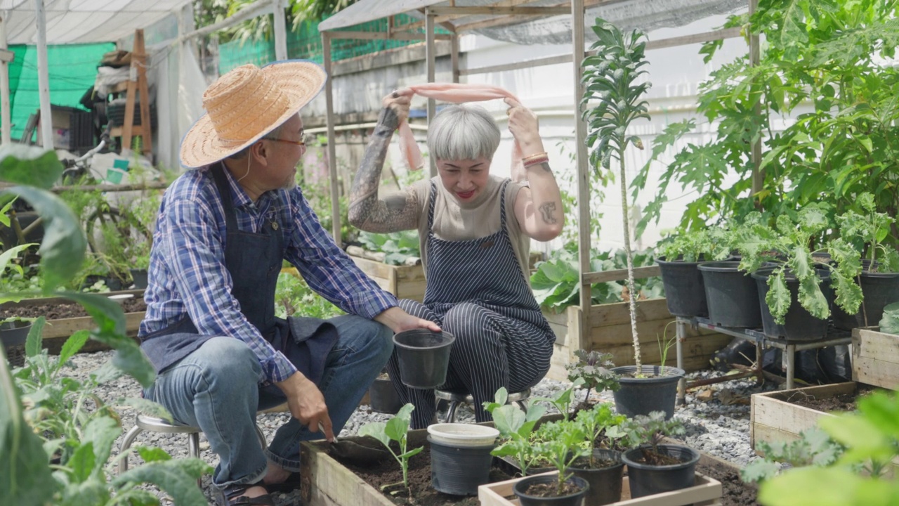 小型企业的家庭种植农产品。老夫妇在后院种有机蔬菜时互相照顾视频素材