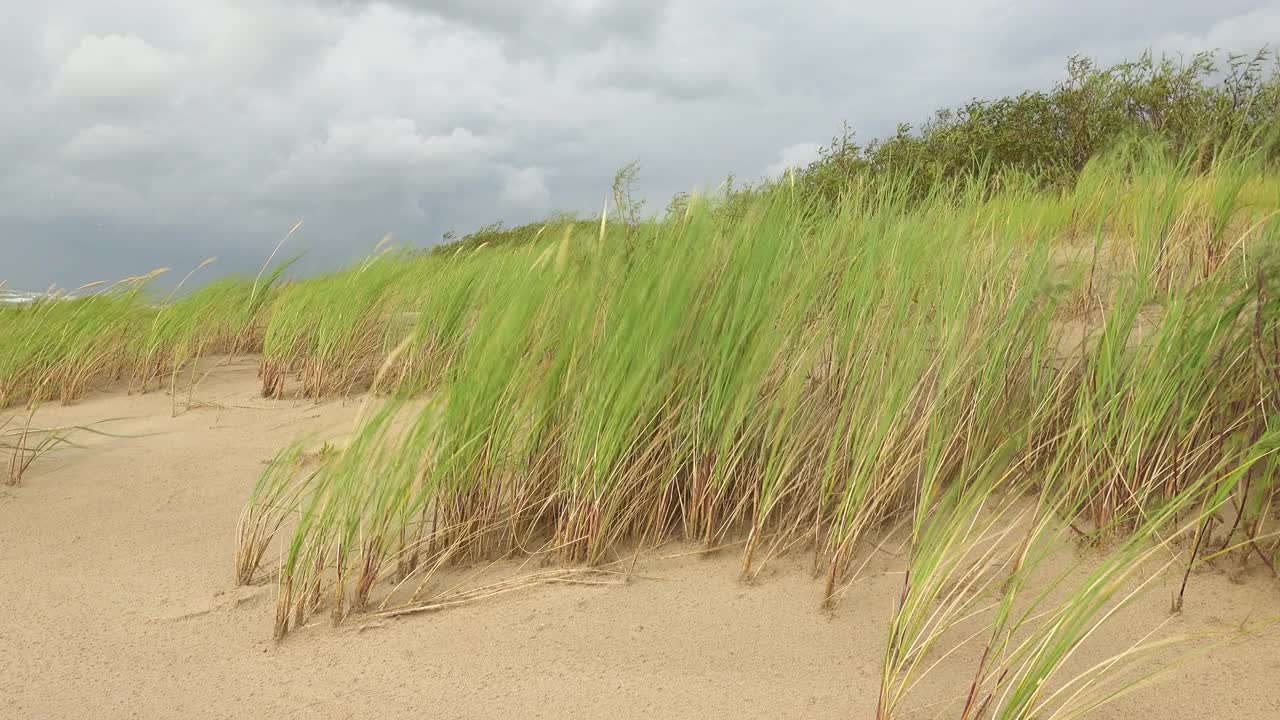 海边的大风。海岸洪水前的危险天气视频素材