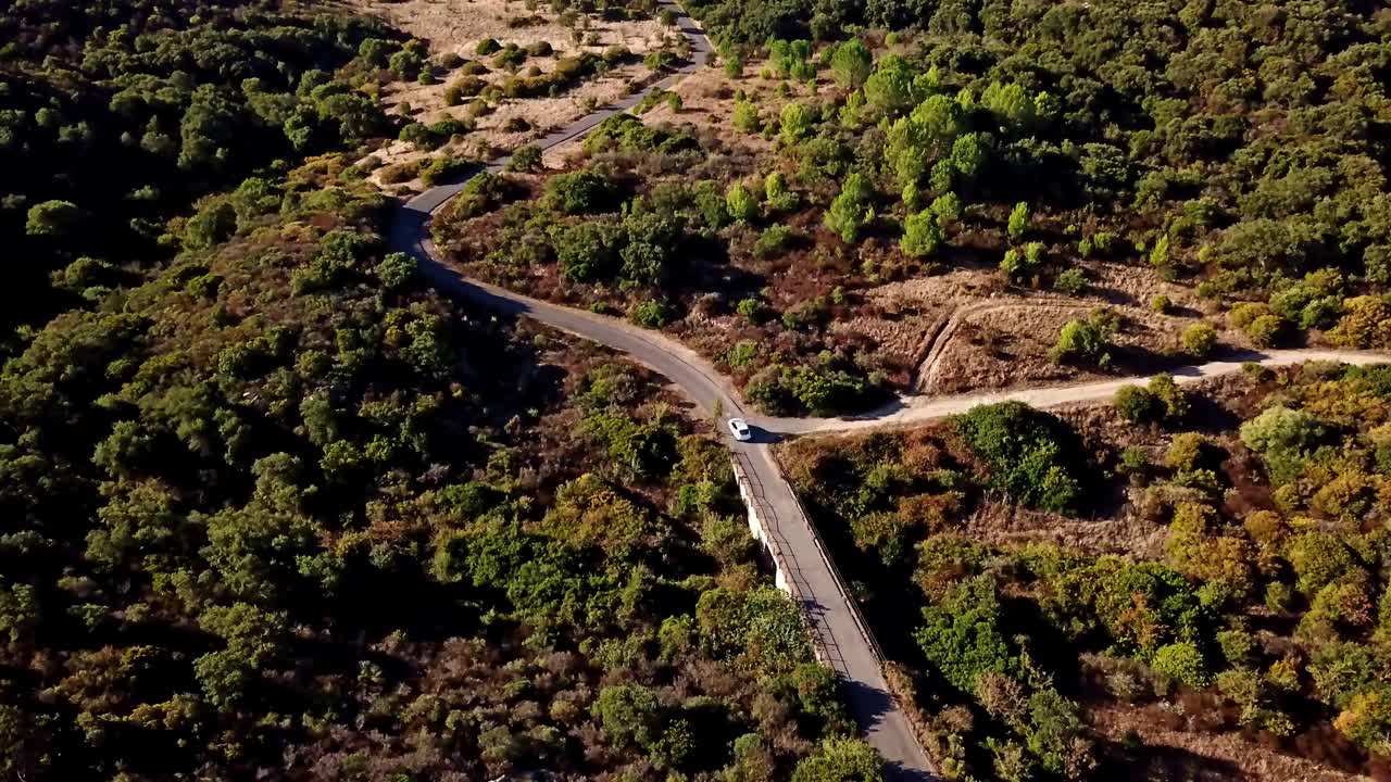 无人机拍摄的撒丁岛茂密森林中的道路的高角度画面视频素材