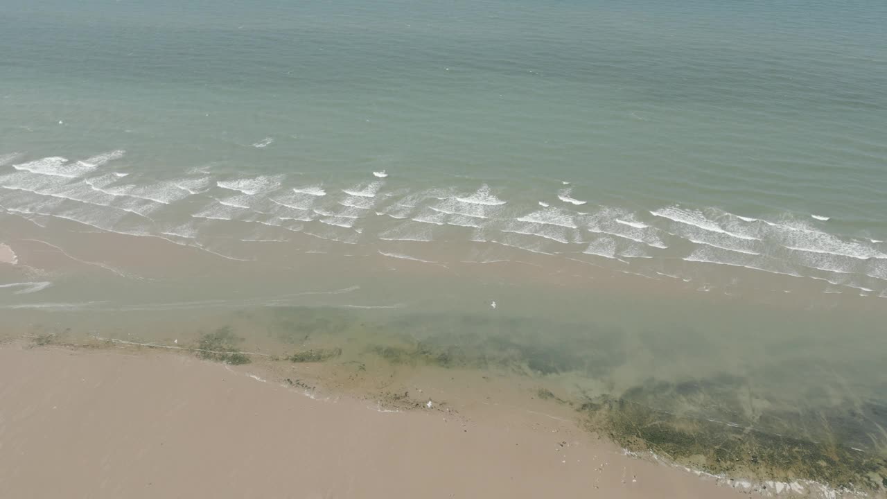 航拍的沙滩与藻类在浅水，和地平线上的波浪海洋视频素材