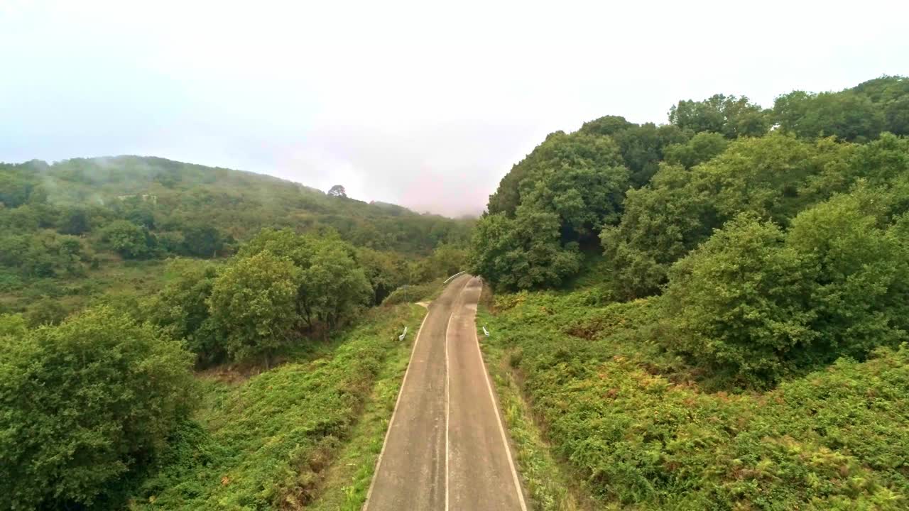 漫长的道路通向撒丁岛的茂密森林视频素材