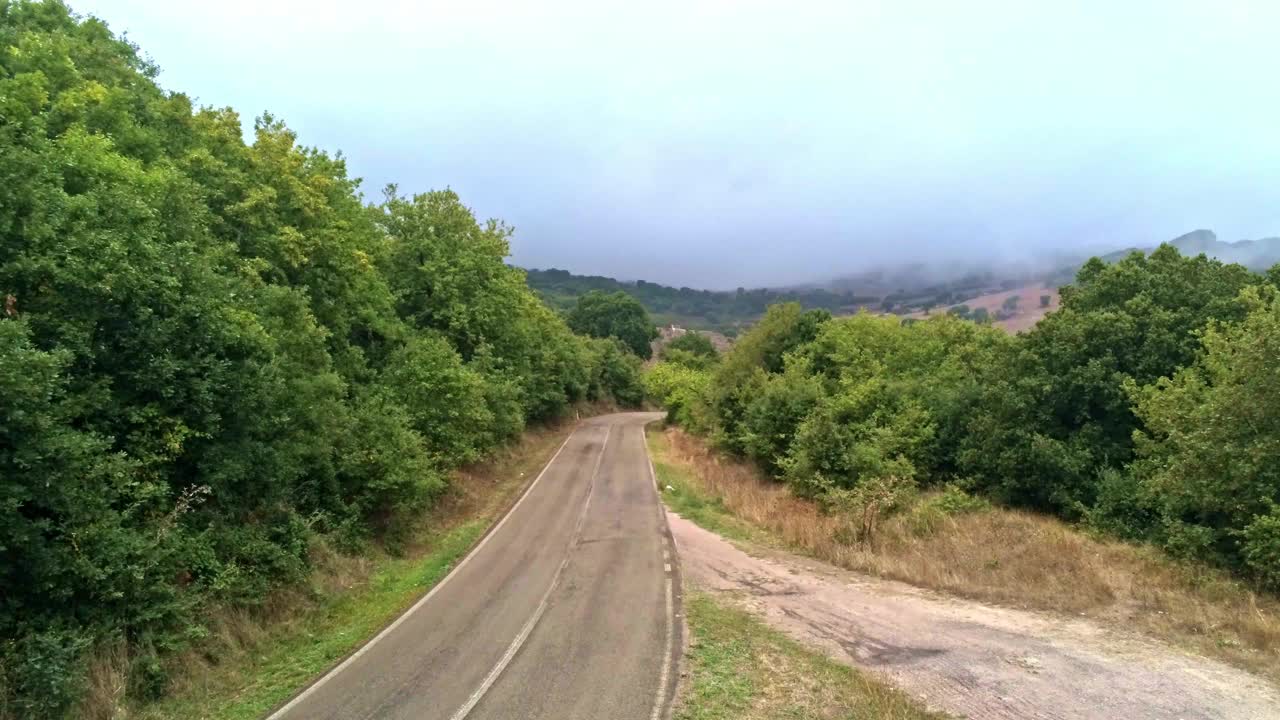 漫长的道路通向撒丁岛的茂密森林视频素材