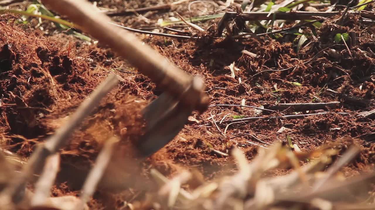 用铲子挖土的人视频素材