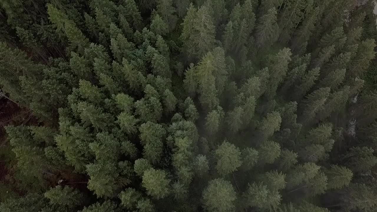 4K航拍镜头的湖泊，绿色森林与茂盛的植被和道路拍摄的无人机视频素材