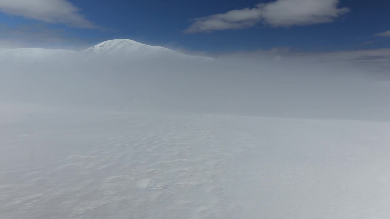 登山者在两只有趣的狗的陪伴下攀登雪山视频素材