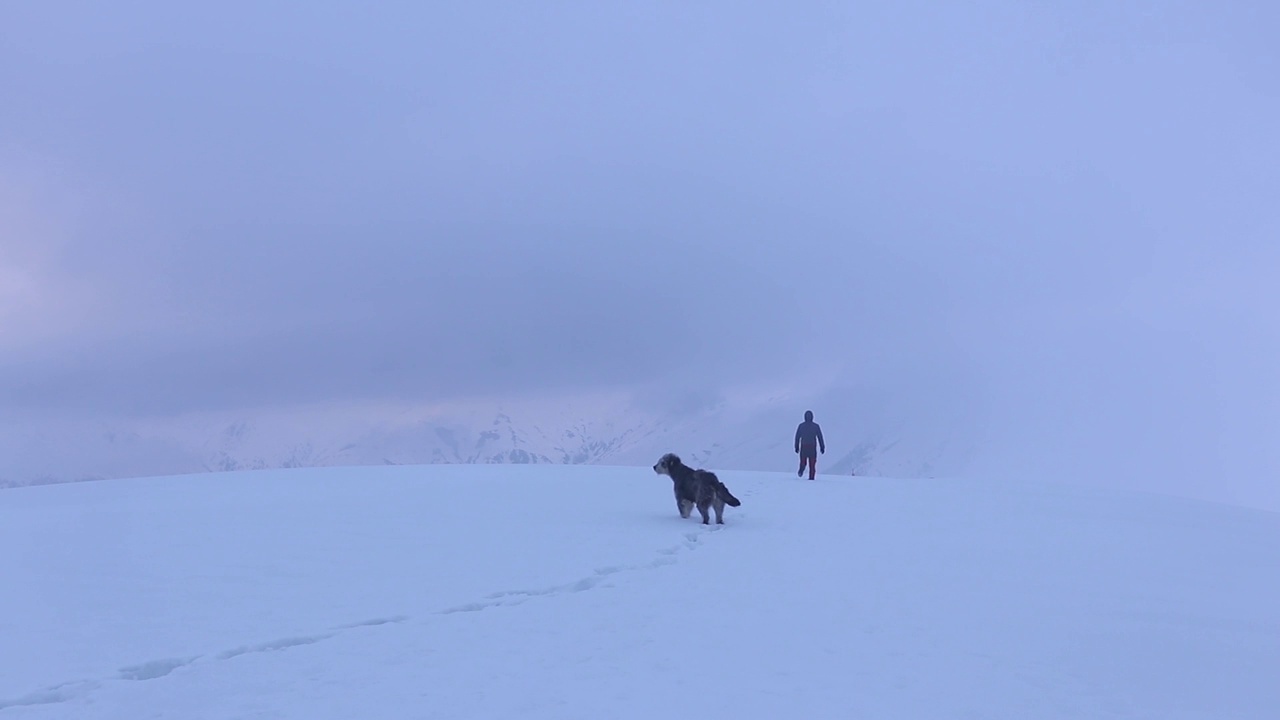 一个登山者在雪山中跋涉，一只有趣的狗跟在他后面视频素材