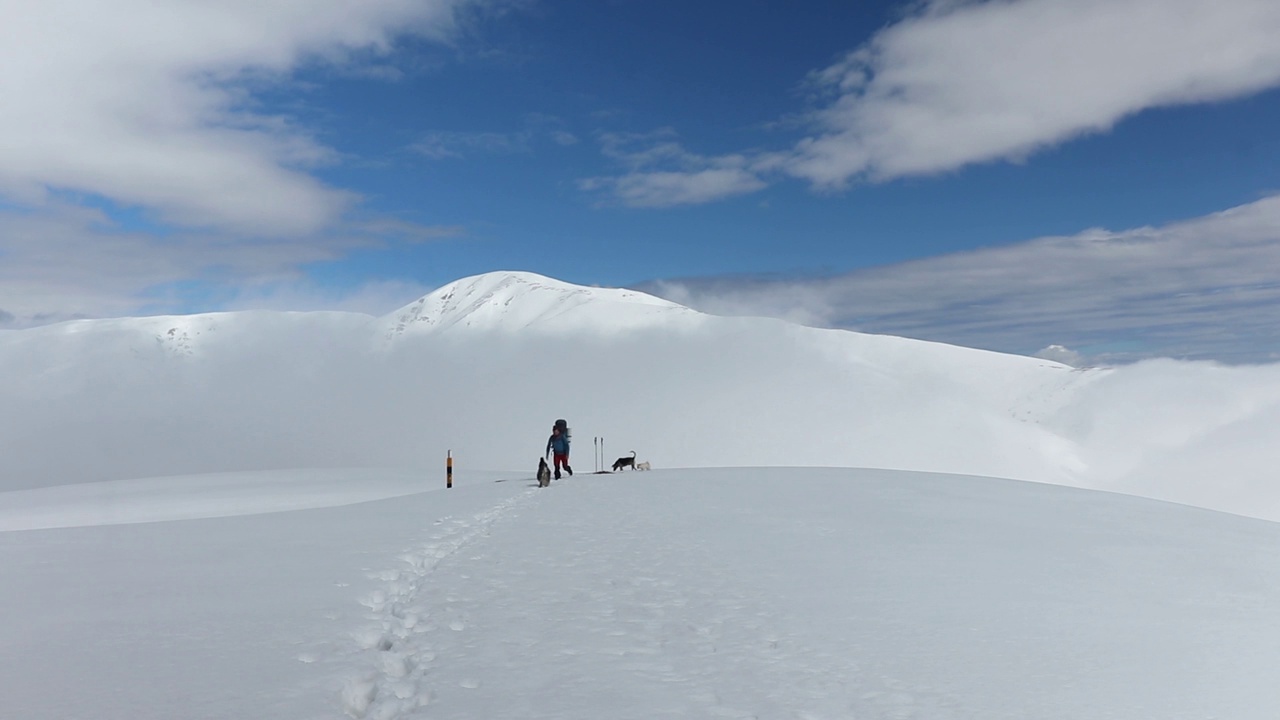 装备齐全的登山者在可爱的狗狗的陪伴下徒步穿过白雪覆盖的山脉视频素材