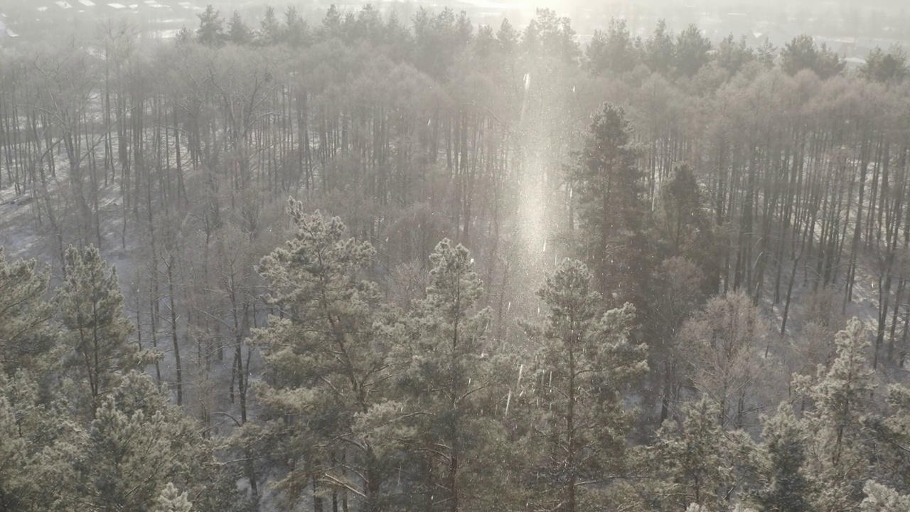 4K未分级，d-log雪森林在冬天霜冻日。在雾蒙蒙的冰冻早晨，鸟瞰惊人的松树。日出日落阳光在冬季自然景观。霜冻森林公园的风景。高架视图视频素材