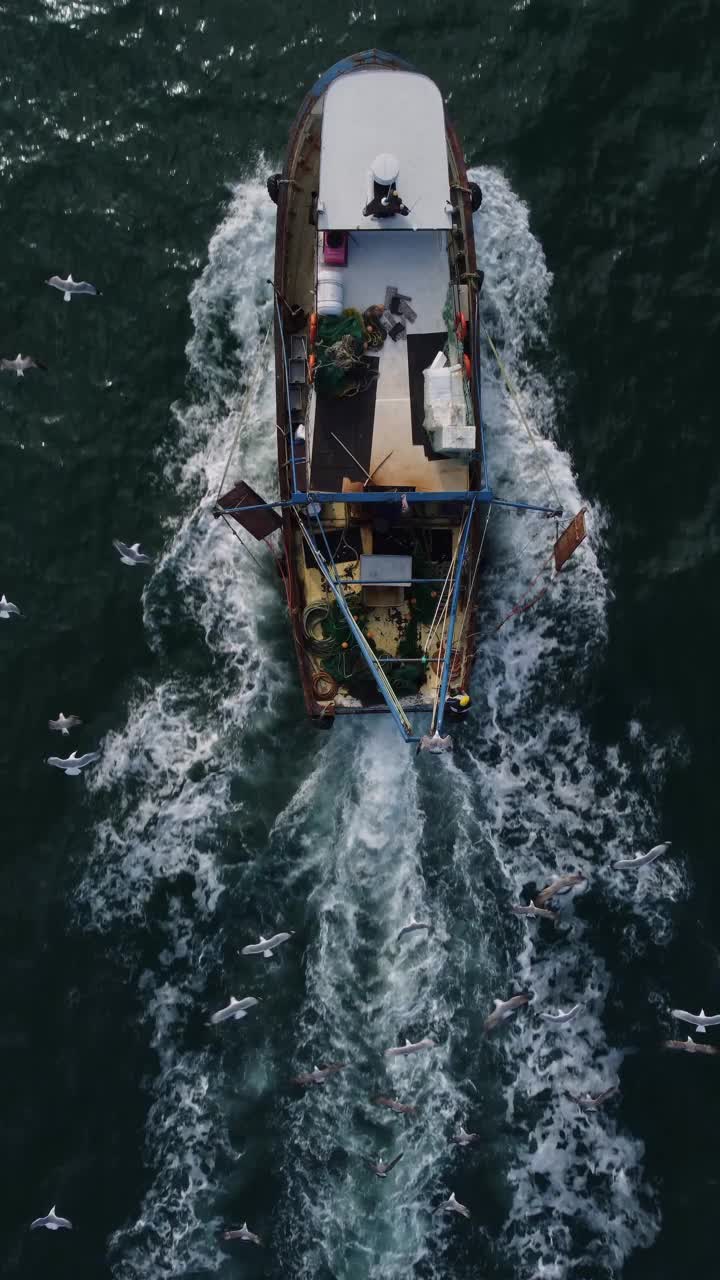 漂浮在蓝色海面上的渔船，无人机鸟瞰图。视频素材