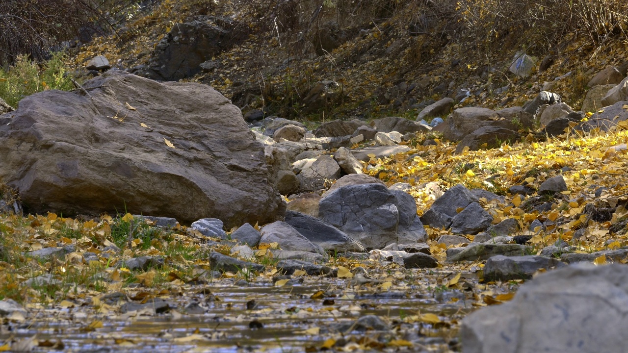 秋天的景色，河流静静地流过岩石和石头视频素材