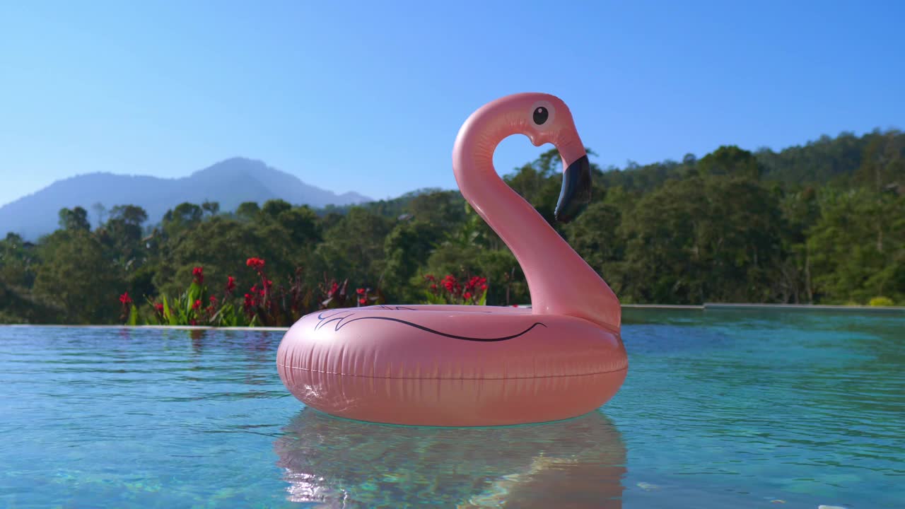 夏天最热门的游泳配件是粉红色的火烈鸟。一个充气玩具漂浮在热带别墅清澈的私人泳池中。在异国他乡度假的概念。视频素材
