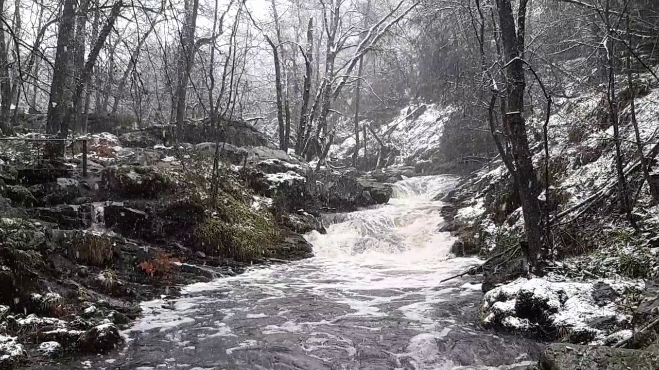 冬天下雪时的野生森林河。比利时阿登的Hoegne。视频素材