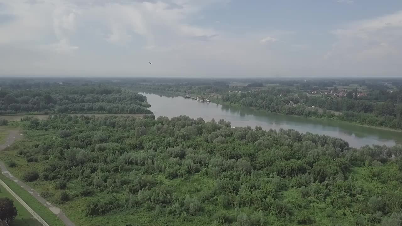 多云的天空下，被茂密的森林和建筑物包围的河流的鸟瞰图视频素材