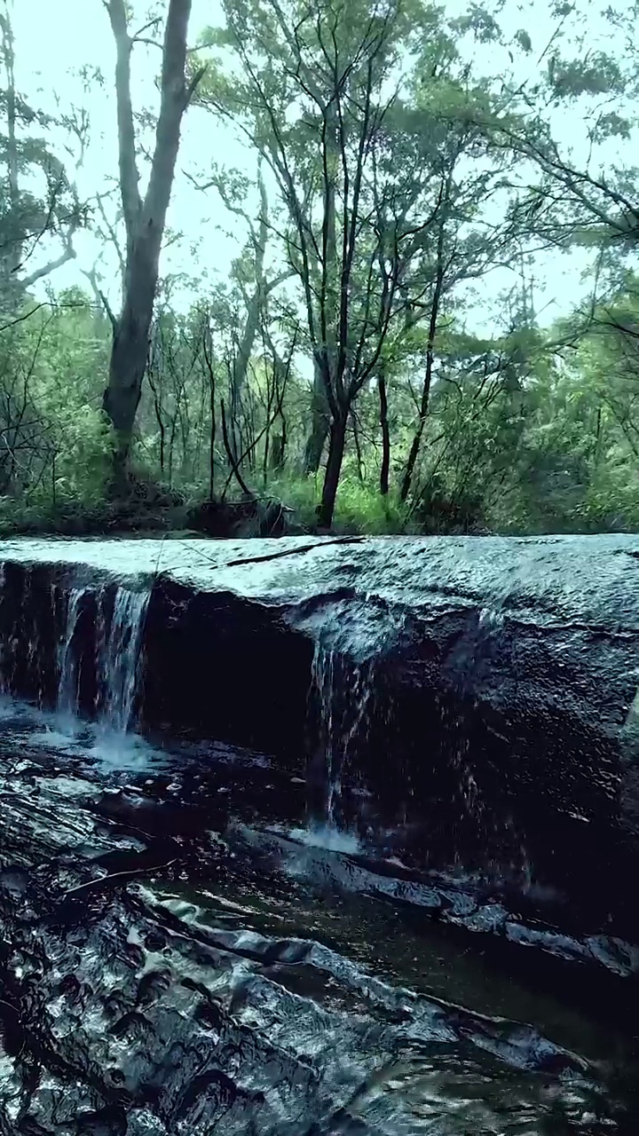 以森林为背景的小瀑布从岩石上流过的风景视频素材