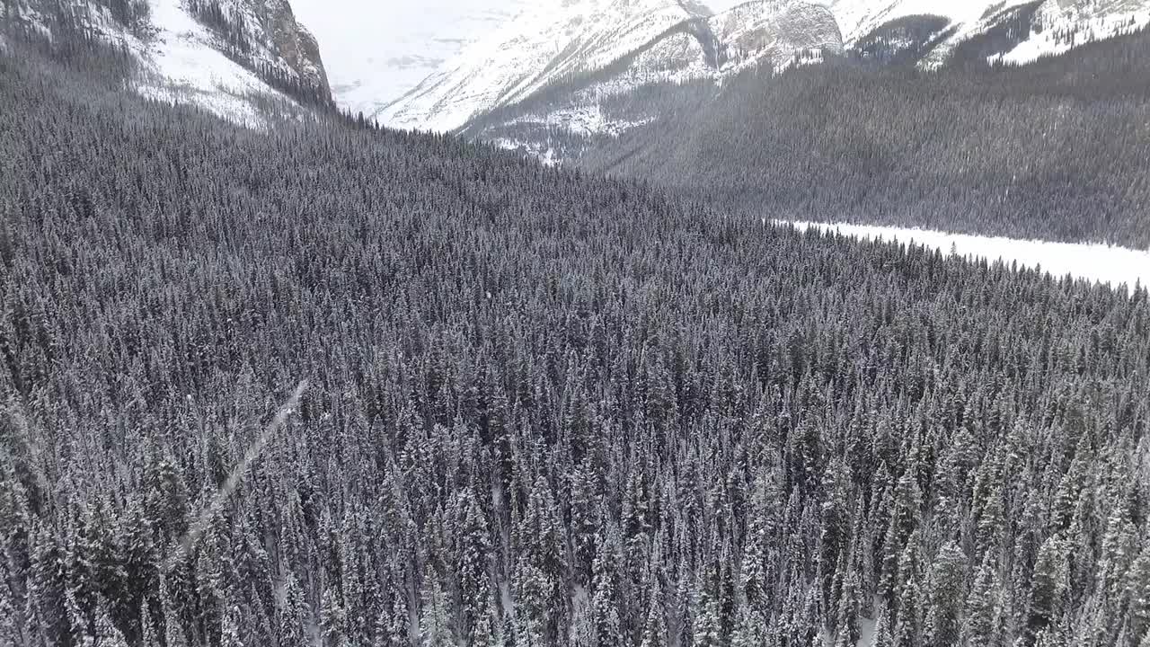 令人叹为观止的积雪覆盖的森林山景观视频素材