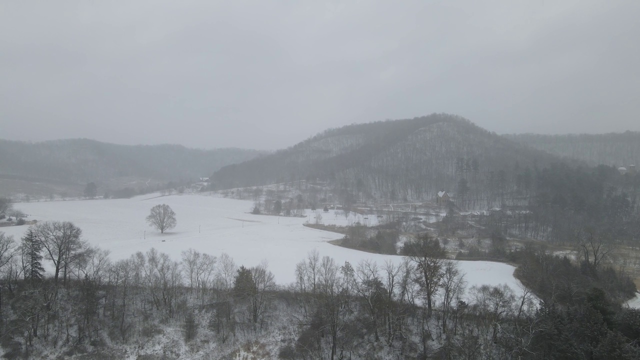 威斯康辛州拉克罗斯的雪中雪林的鸟瞰图视频素材