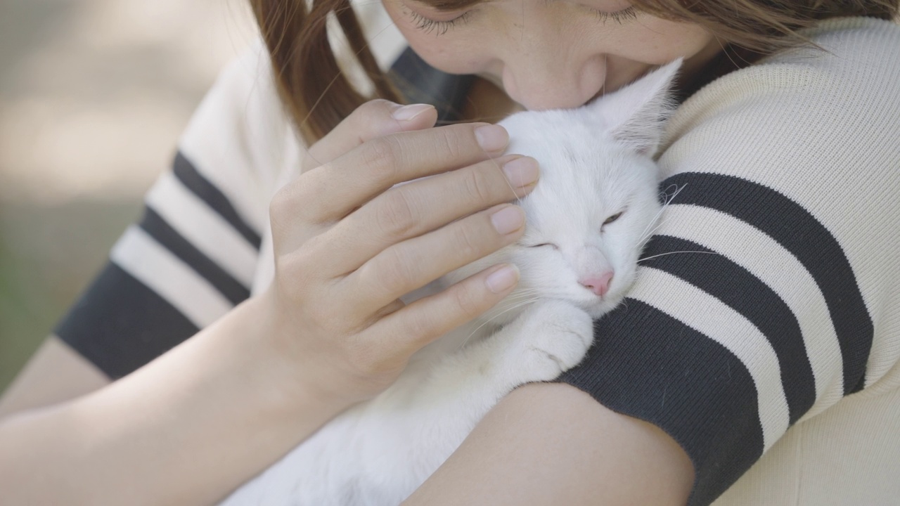 白考马尼猫在一个女人的胸前休息。视频素材