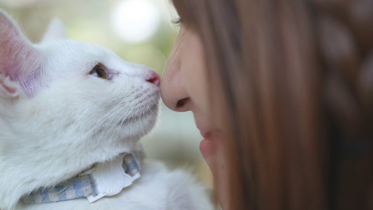 一名亚洲妇女戏弄她的猫，用鼻子蹭猫的脖子。视频素材