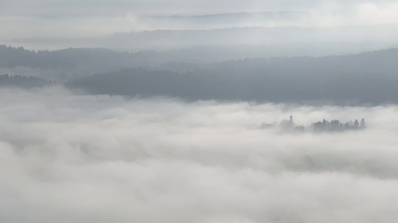 在一个美丽的早晨，无人机拍摄的薄雾吹过松树林的画面。山上云杉树林的航拍镜头。复制空间自然背景。视频素材