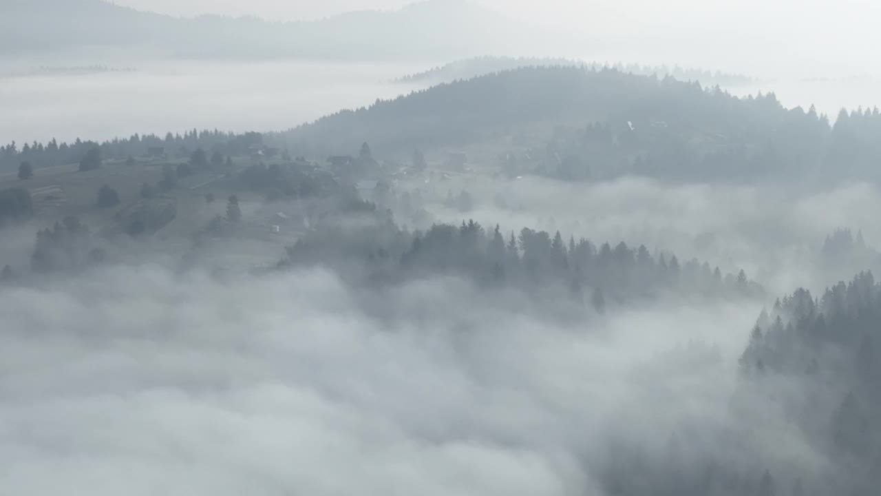 在一个美丽的早晨，无人机拍摄的薄雾吹过松树林的画面。山上云杉树林的航拍镜头。复制空间自然背景。视频素材