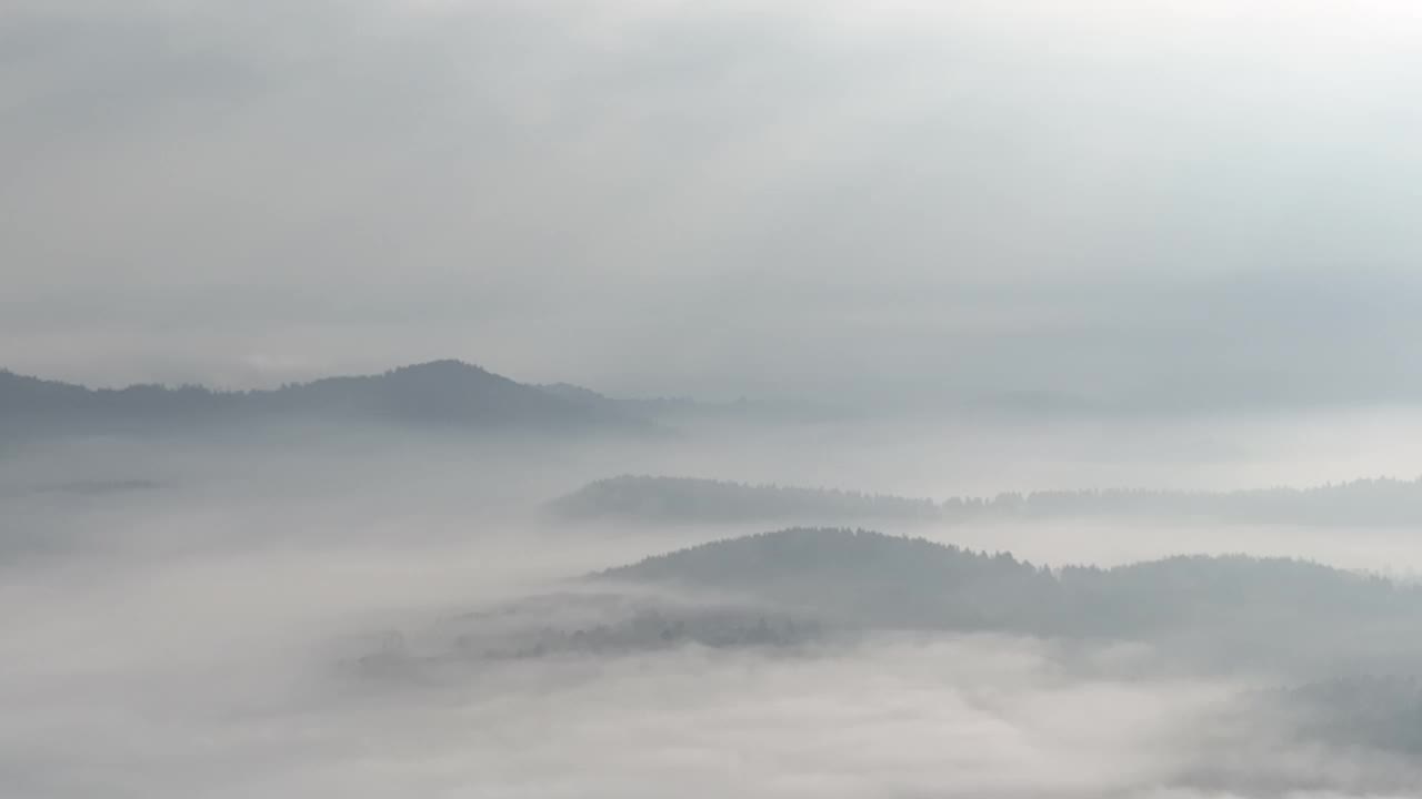 在一个美丽的早晨，无人机拍摄的薄雾吹过松树林的画面。山上云杉树林的航拍镜头。复制空间自然背景。视频素材