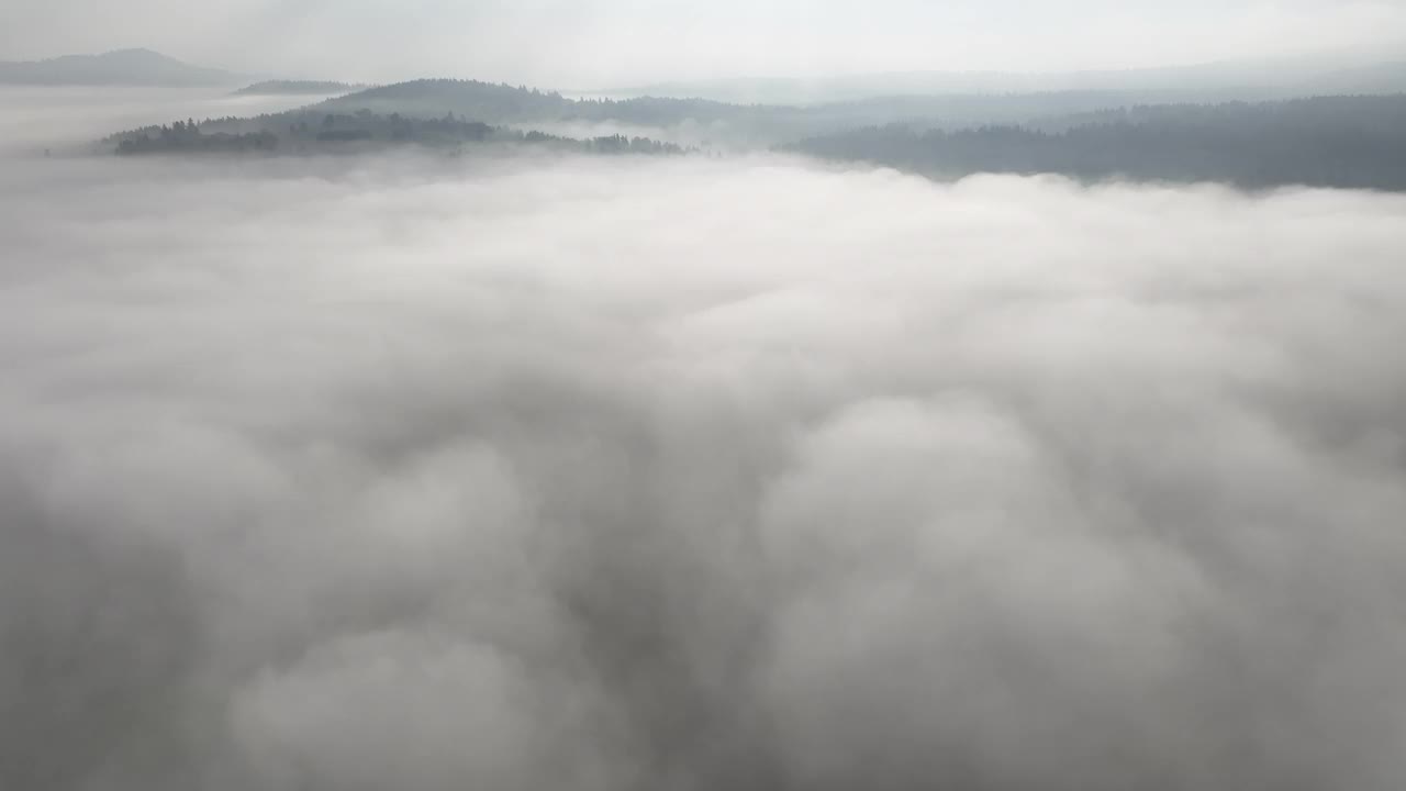 在一个美丽的早晨，无人机拍摄的薄雾吹过松树林的画面。山上云杉树林的航拍镜头。复制空间自然背景。视频素材