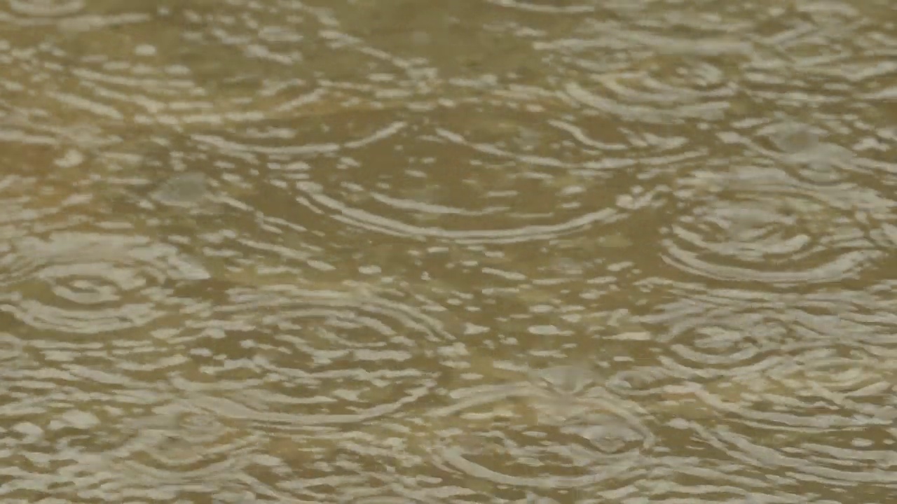 雨滴落在水面上视频素材