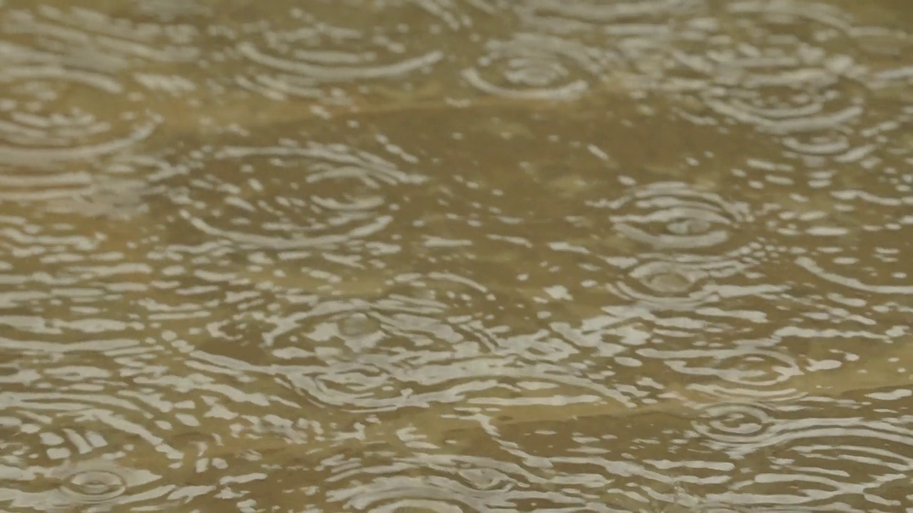 雨滴落在水面上视频素材