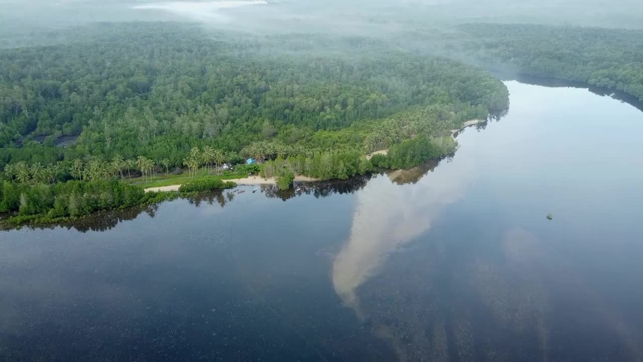 早上的椰子树、湿地、渔人小屋和红树林沼泽的鸟瞰图视频素材